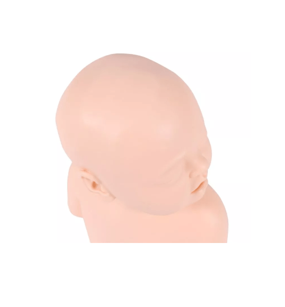 Säuglings Injektionskopf - Erler - Zimmer